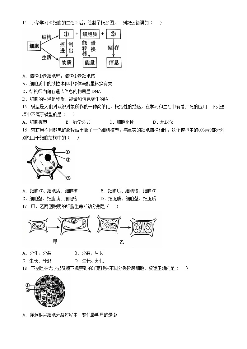云南省昭通市昭阳区2024-2025学年七年级上学期期中生物试题第3页