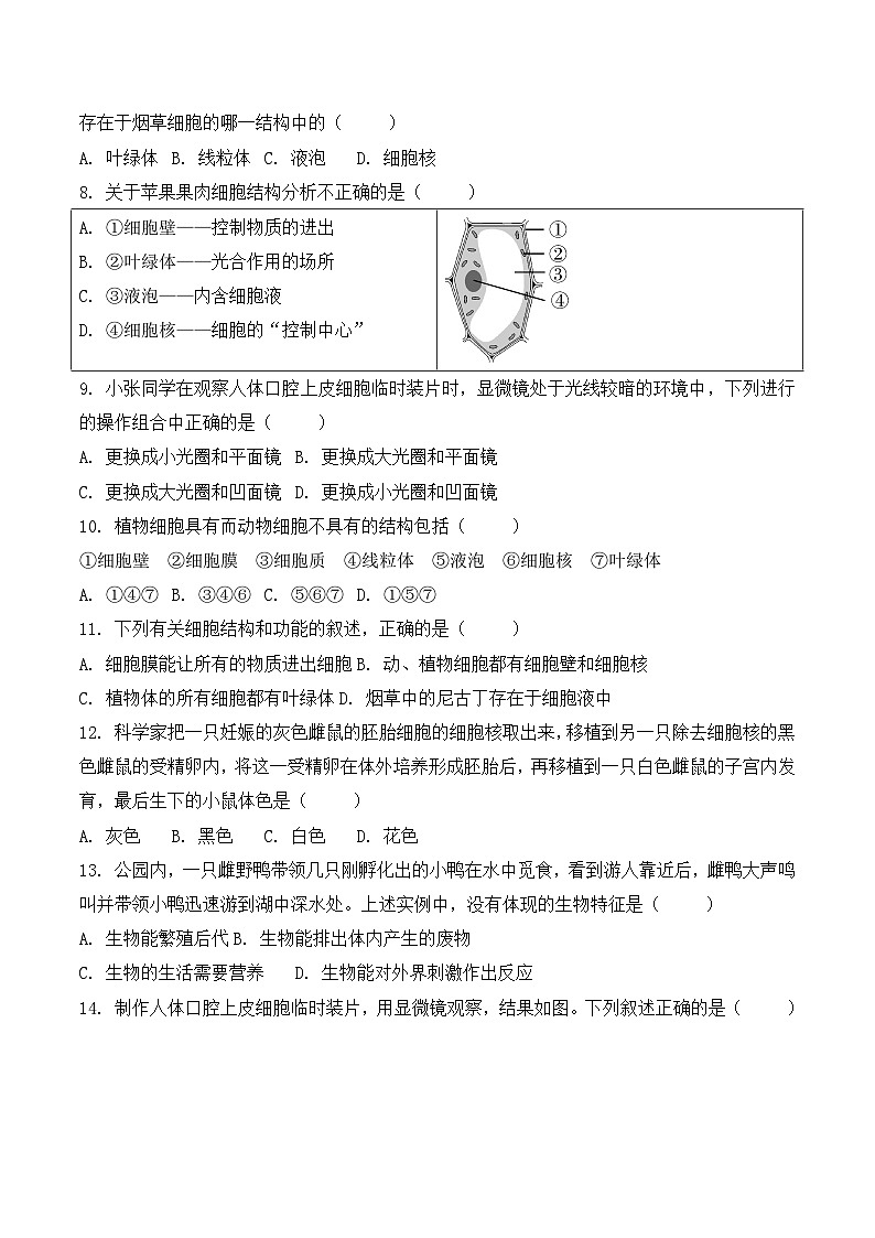 贵州省贵阳市观山湖区美的中学2024-2025学年度七年级上学期期中质量监测生物学试卷第2页