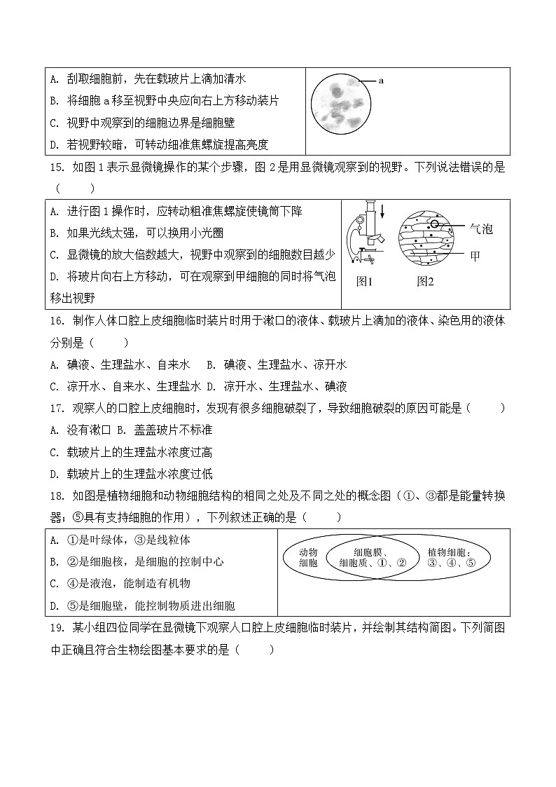 贵州省贵阳市观山湖区美的中学2024-2025学年度七年级上学期期中质量监测生物学试卷第3页