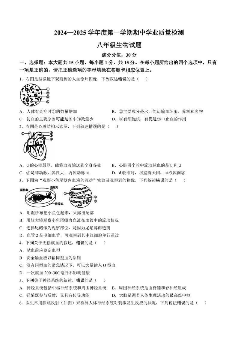 江苏省连云港市灌云县2024~2025学年八年级(上)期中生物试卷(含答案)01