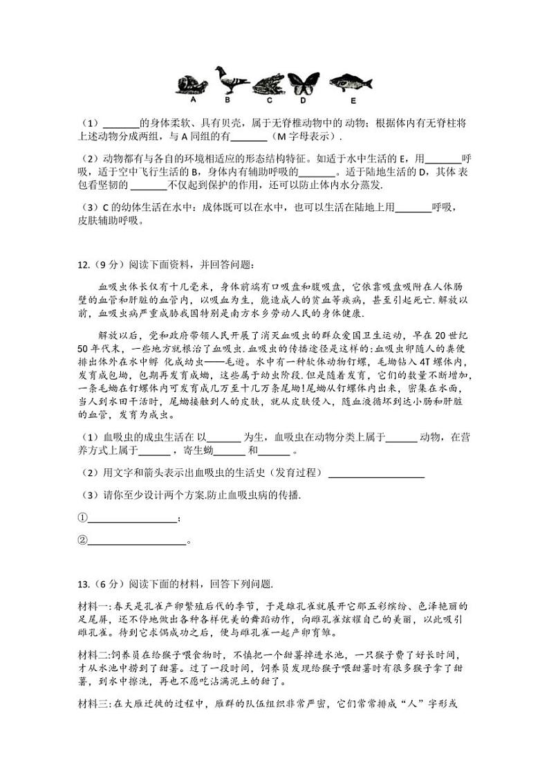 湖北省荆州市石首市2024~2025学年八年级(上)期中生物试卷(含答案)03