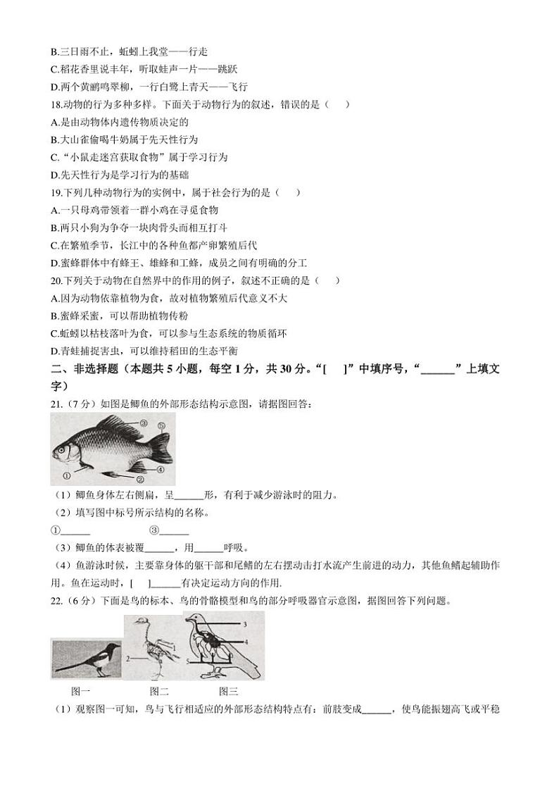 河南省漯河市临颍县2024~2025学年八年级(上)期中生物试卷(含答案)03