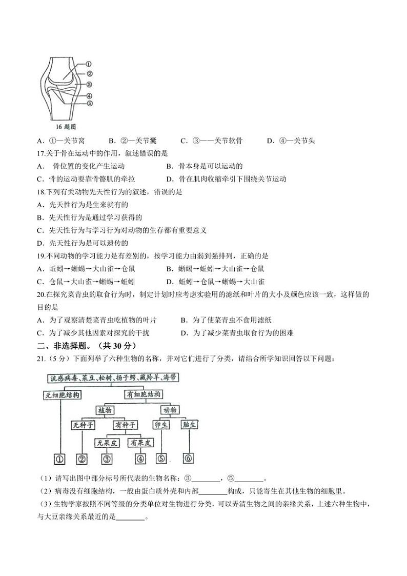 河南省周口市太康县2024~2025学年八年级(上)期中生物试卷(含答案)03