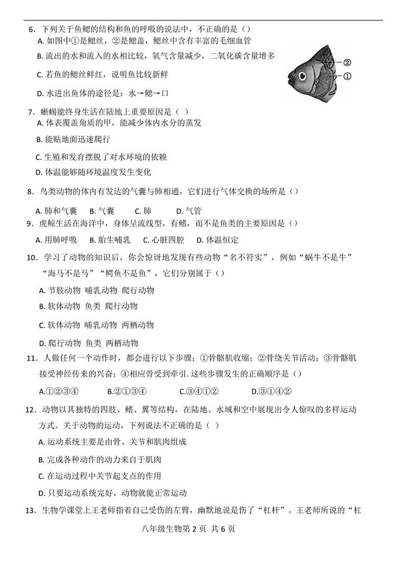 河南省濮阳市范县2024~2025学年八年级(上)期中生物试卷(含答案)02