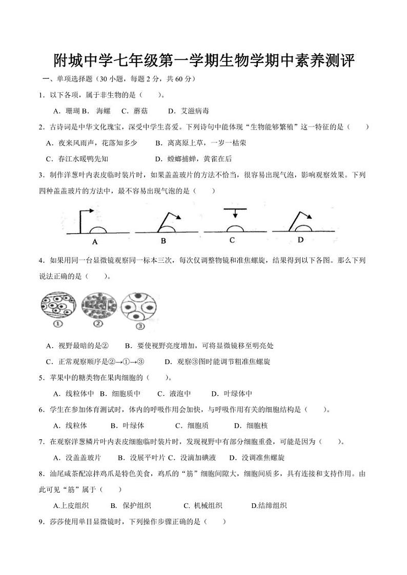 广东省汕尾市海丰县附城中学2024~2025学年七年级(上)期中生物试卷(含答案)01