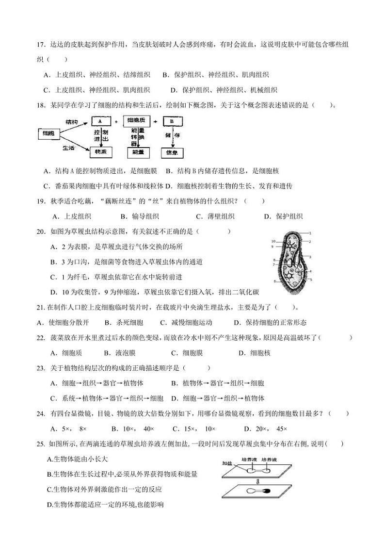 广东省汕尾市海丰县附城中学2024~2025学年七年级(上)期中生物试卷(含答案)03