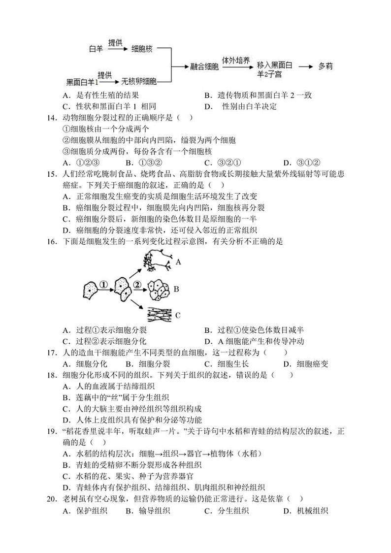 湖南省张家界市慈利县2024~2025学年七年级(上)期中生物试卷(含答案)第3页