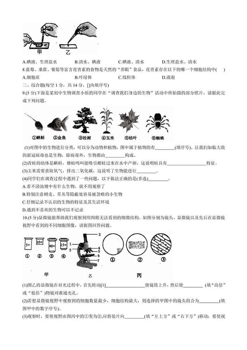 四川省达州市大竹县大竹中学2024~2025学年七年级(上)期中生物试卷(含答案)02