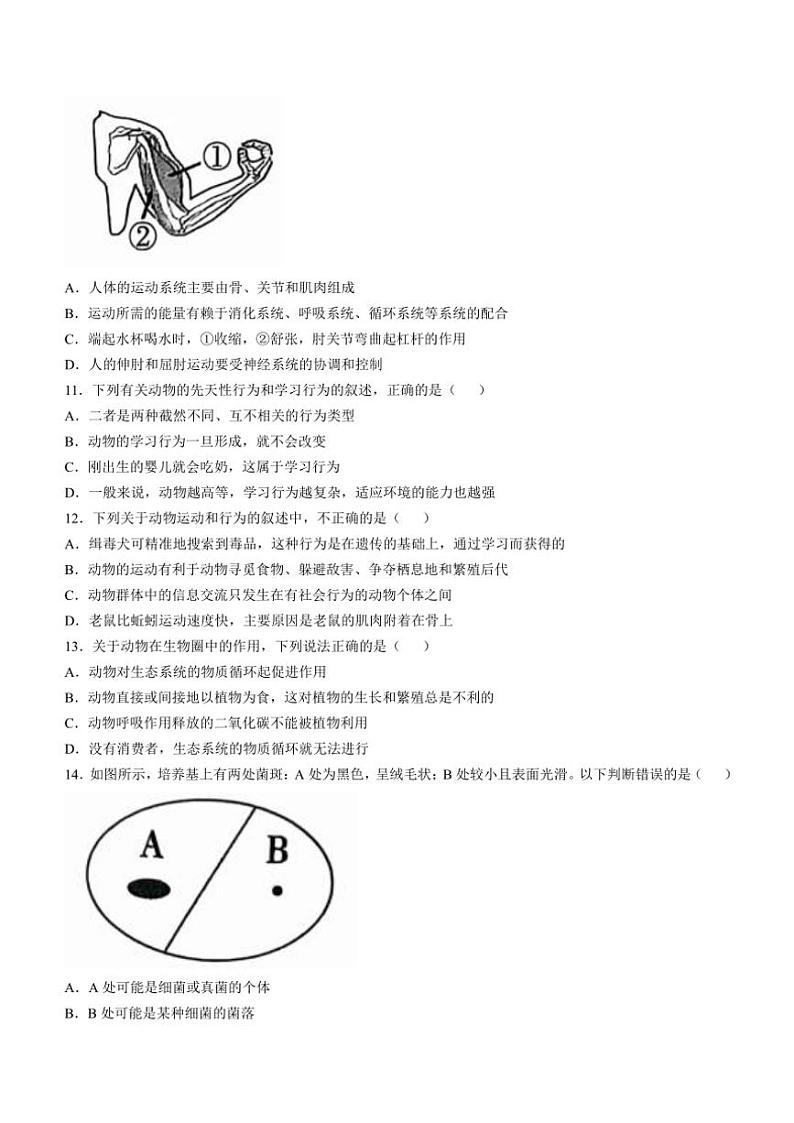 山西省吕梁市孝义市2024~2025学年八年级(上)期中生物试卷(含答案)03