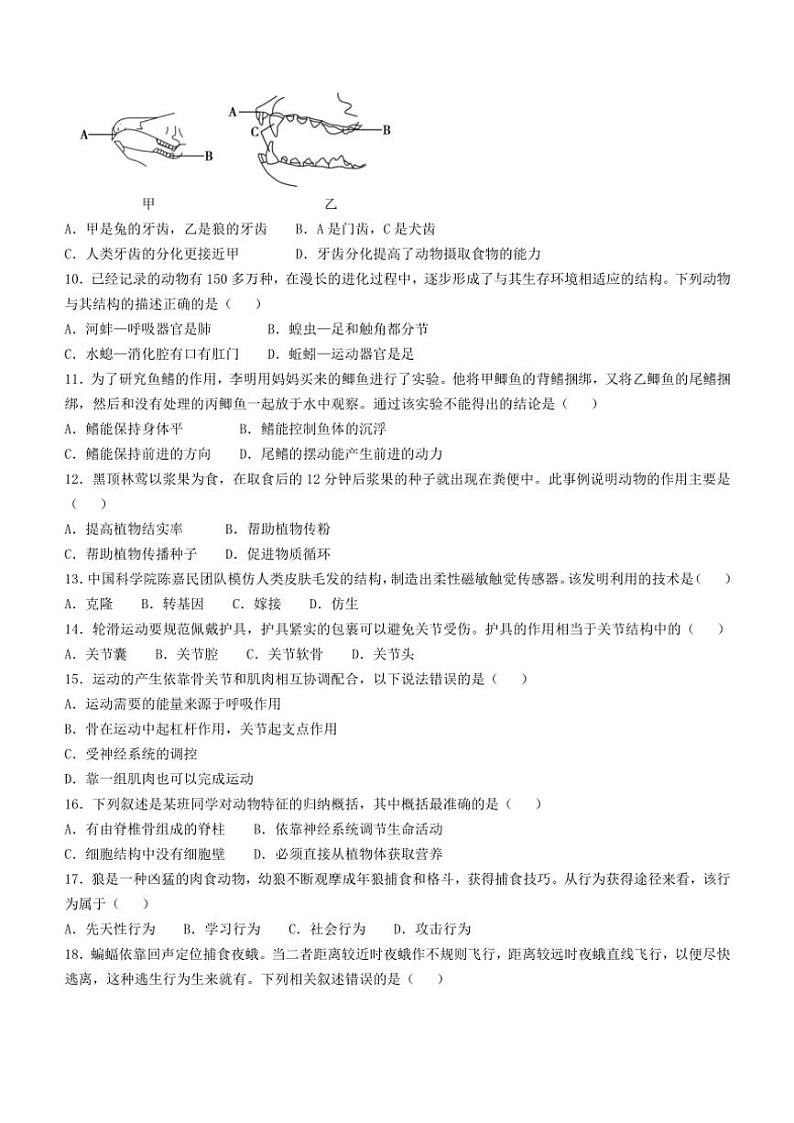 湖南省邵阳市新邵县2024~2025学年八年级(上)期中生物试卷(含答案)第2页