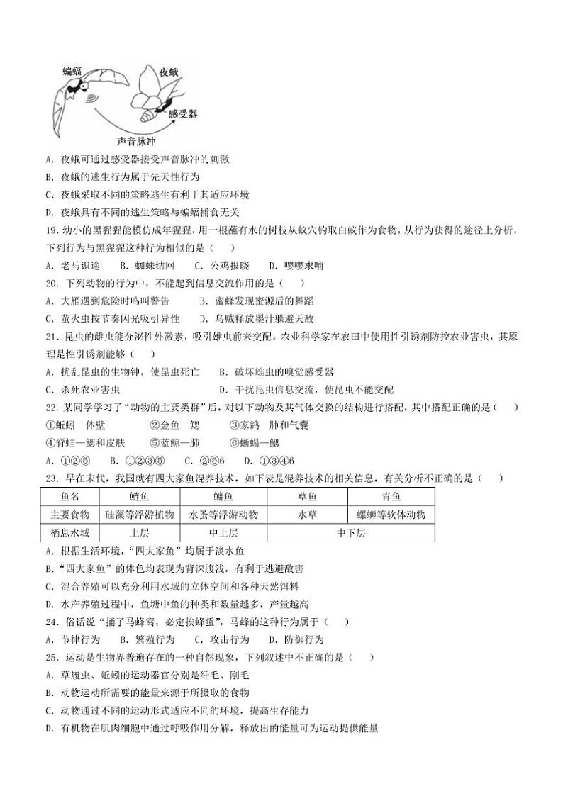 湖南省邵阳市新邵县2024~2025学年八年级(上)期中生物试卷(含答案)第3页