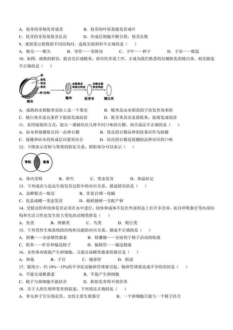 山东省济宁市邹城市2024~2025学年八年级(上)期中生物试卷(含答案)第2页
