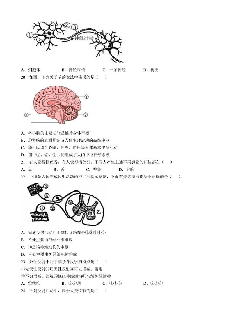 江苏省扬州市仪征市2024~2025学年八年级(上)期中生物试卷(含答案)03