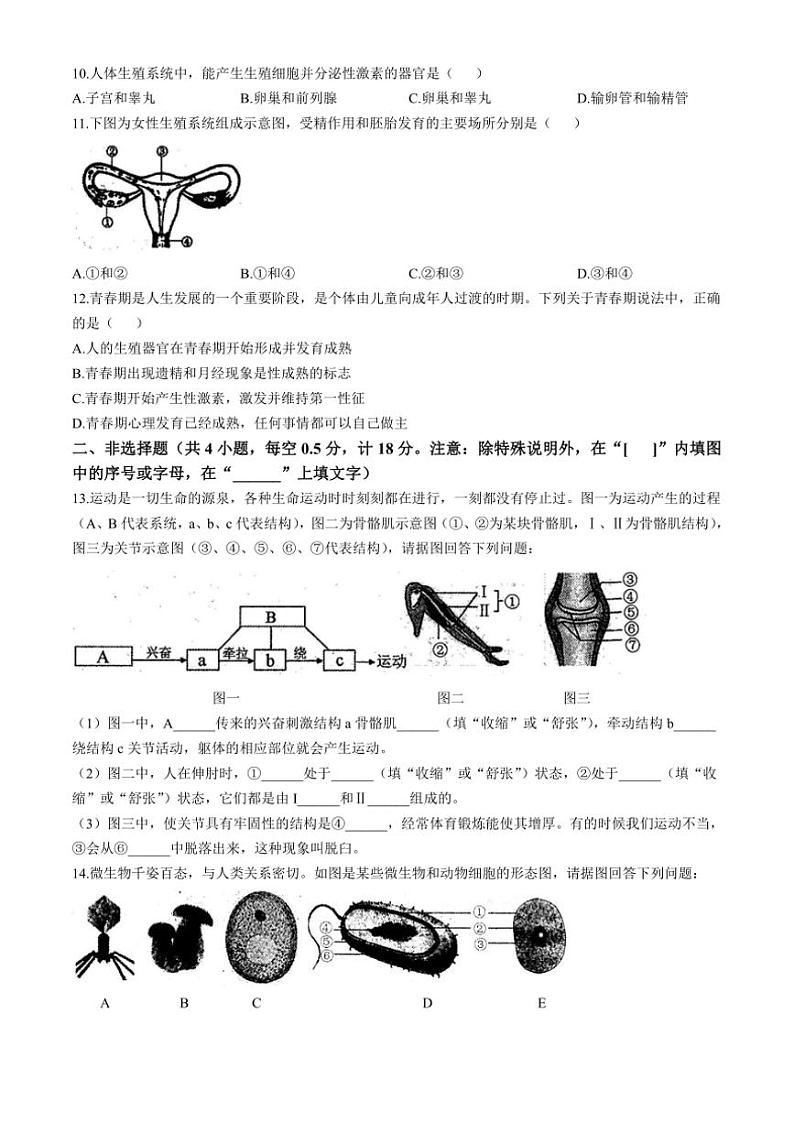 辽宁省抚顺市2024~2025学年八年级(上)期中生物试卷(含答案)第2页