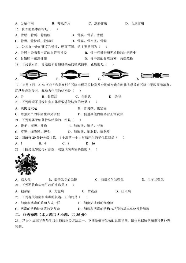 河北省保定市高碑店市2024~2025学年八年级(上)期中生物试卷(含答案)第3页