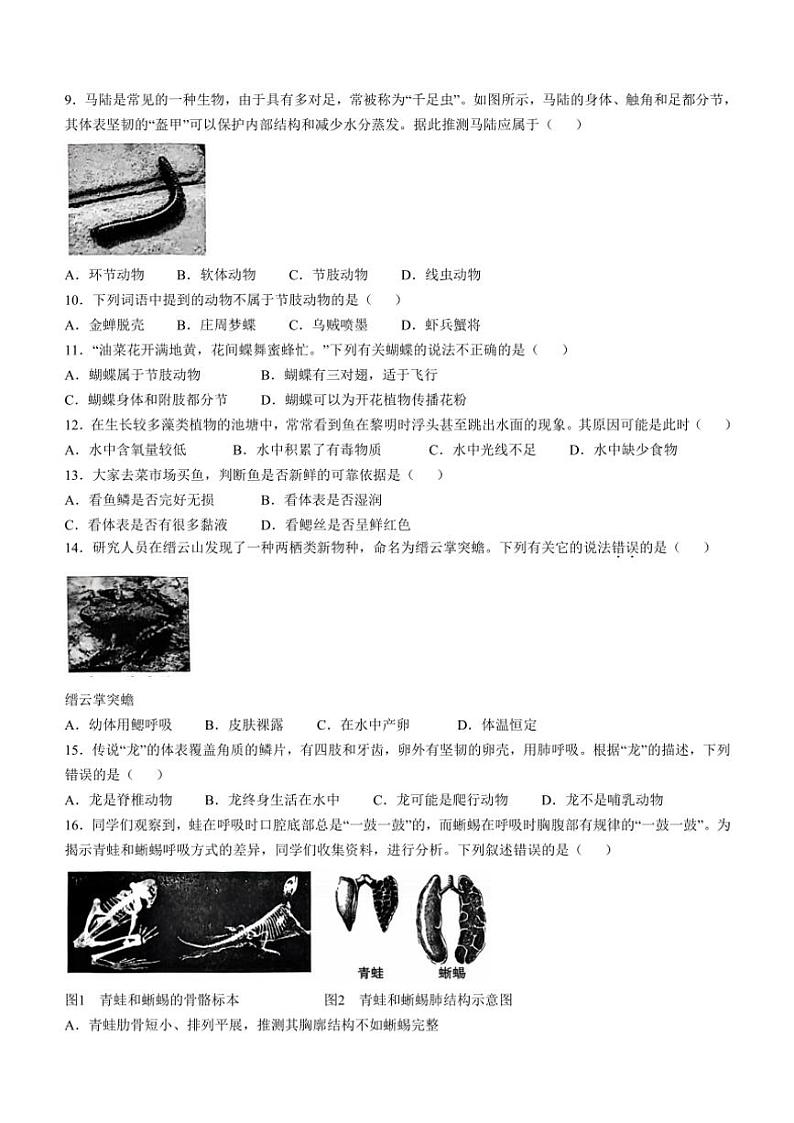 云南省昭通市昭阳区2024~2025学年八年级(上)期中生物试卷(含答案)02