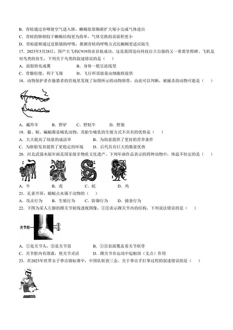 云南省昭通市昭阳区2024~2025学年八年级(上)期中生物试卷(含答案)03
