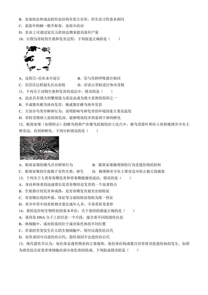 山东省潍坊市诸城市2024~2025学年八年级(上)期中生物试卷(含答案)第3页