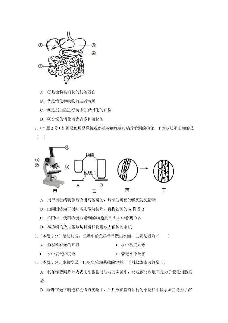 四川省泸州市泸县第二中学2024~2025学年九年级(上)期中生物试卷(含答案)第3页