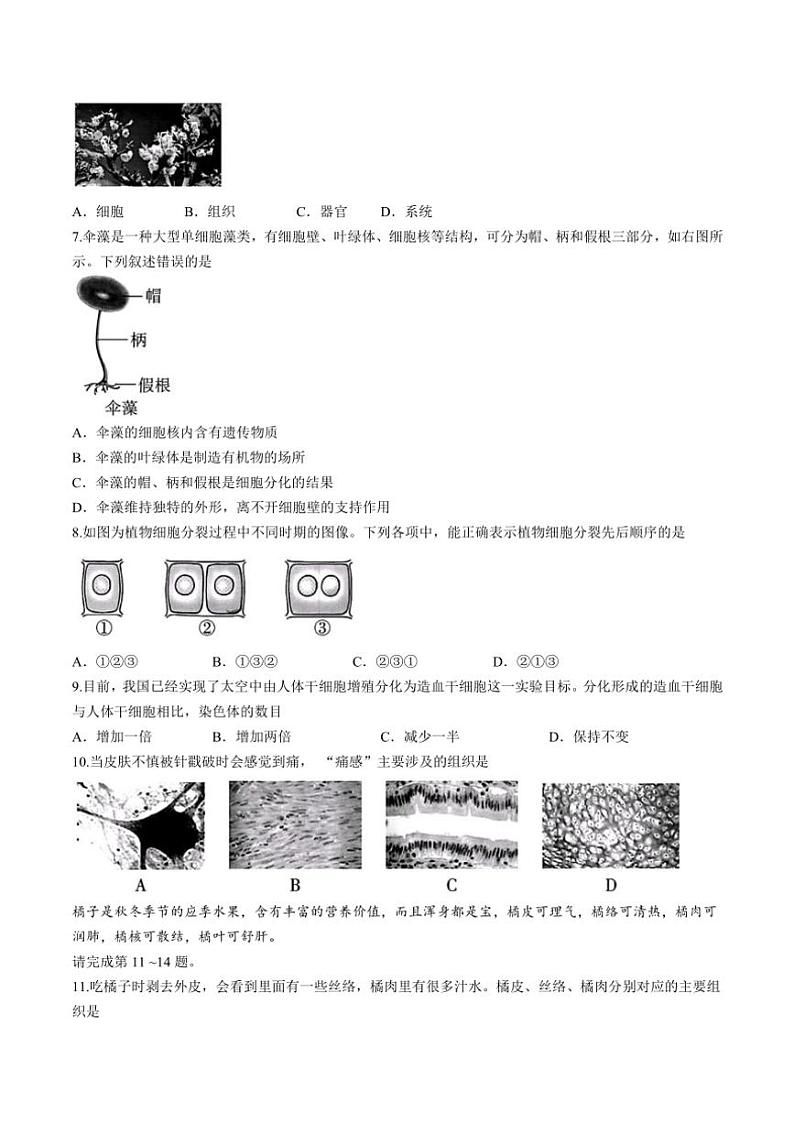 山西省运城市河津市多校2024~2025学年七年级(上)期中测试生物试卷(含答案)02