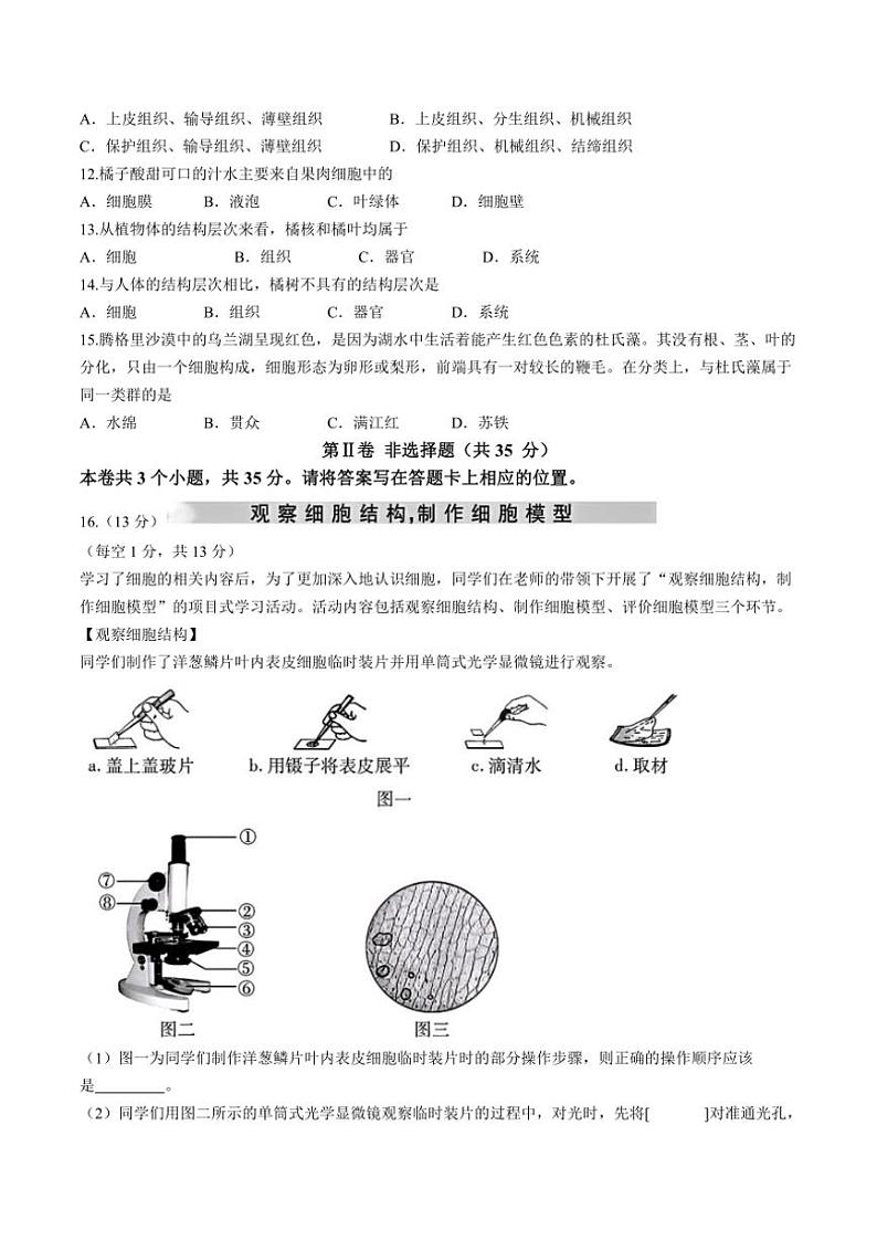 山西省运城市河津市多校2024~2025学年七年级(上)期中测试生物试卷(含答案)03
