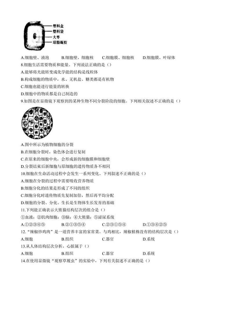 广东省汕头市潮阳区图南学校2024~2025学年七年级(上)期中生物试卷(含答案)02