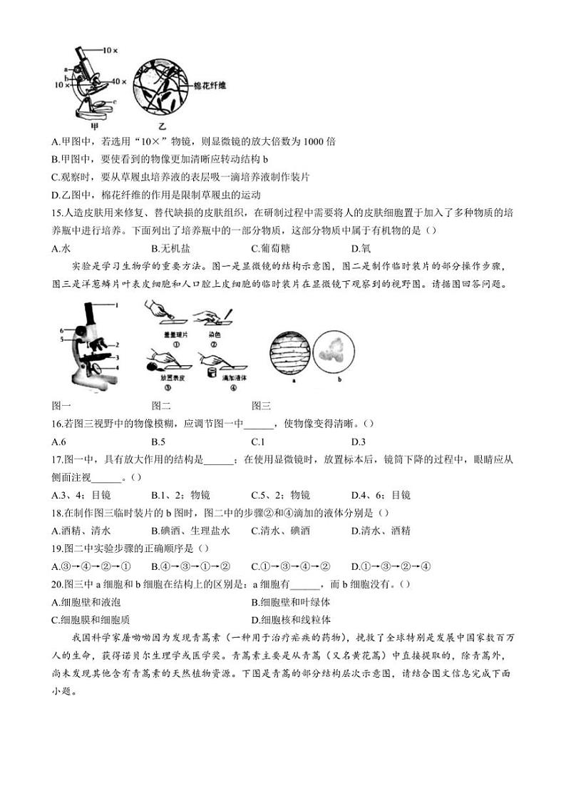 广东省汕头市潮阳区图南学校2024~2025学年七年级(上)期中生物试卷(含答案)03