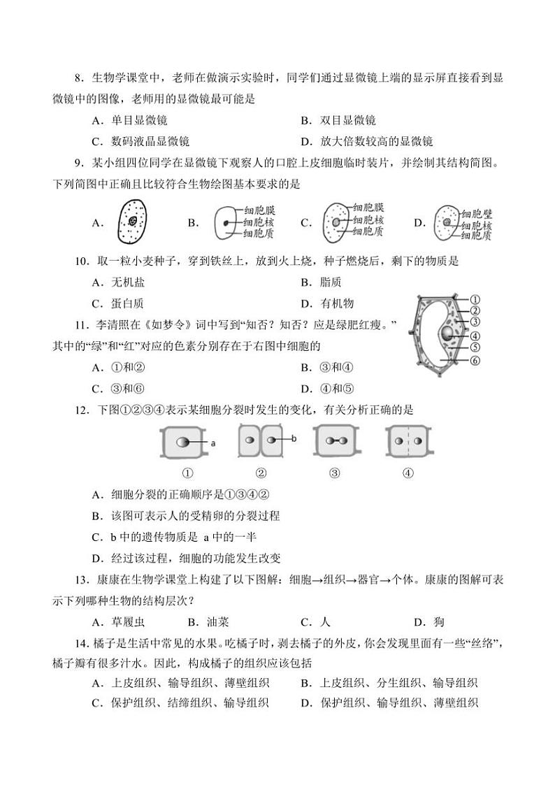 河南省南阳市方城县2024~2025学年七年级(上)期中阶段性调研生物试卷(含答案)02