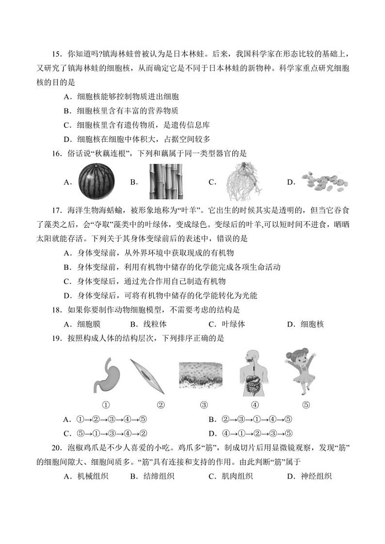 河南省南阳市方城县2024~2025学年七年级(上)期中阶段性调研生物试卷(含答案)03