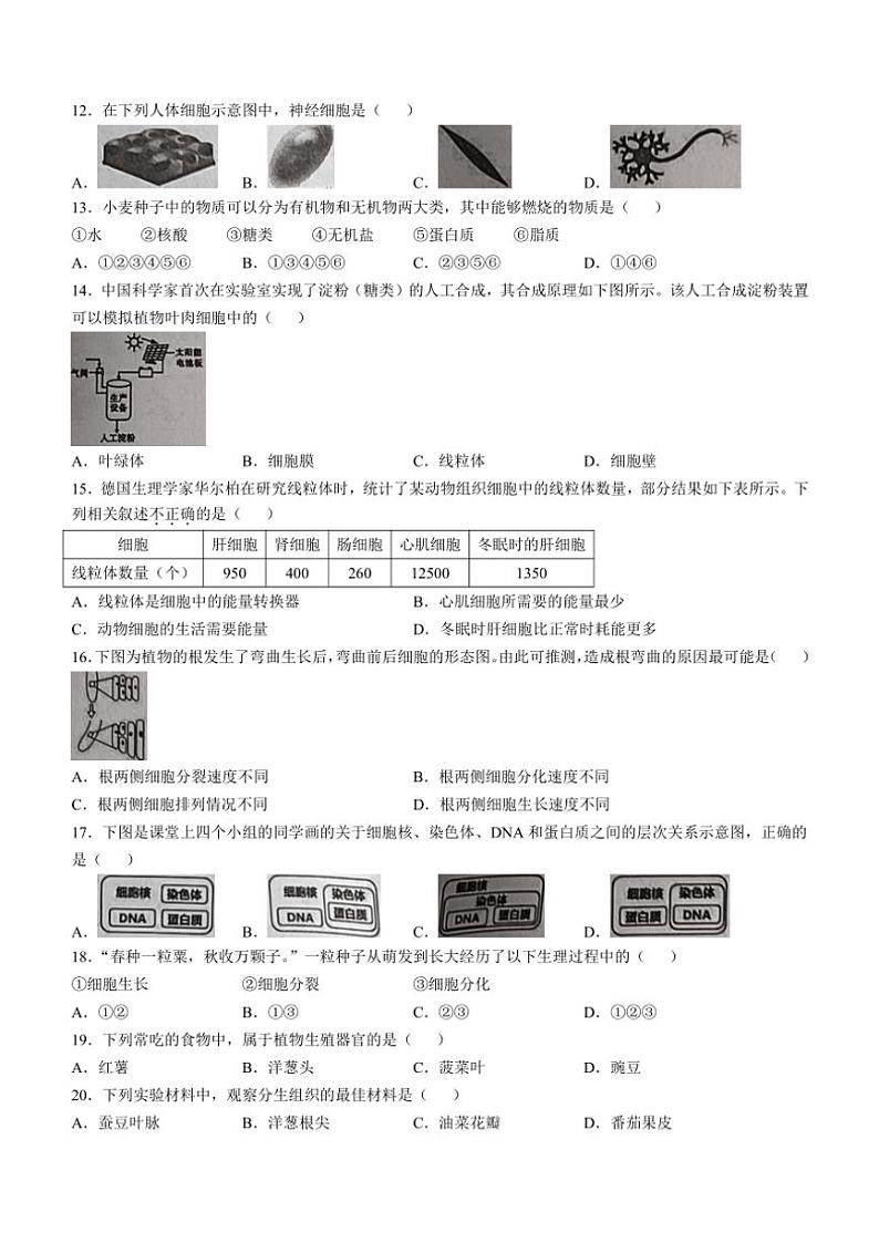福建省福州市连江县2024~2025学年七年级(上)期中生物试卷(含答案)02