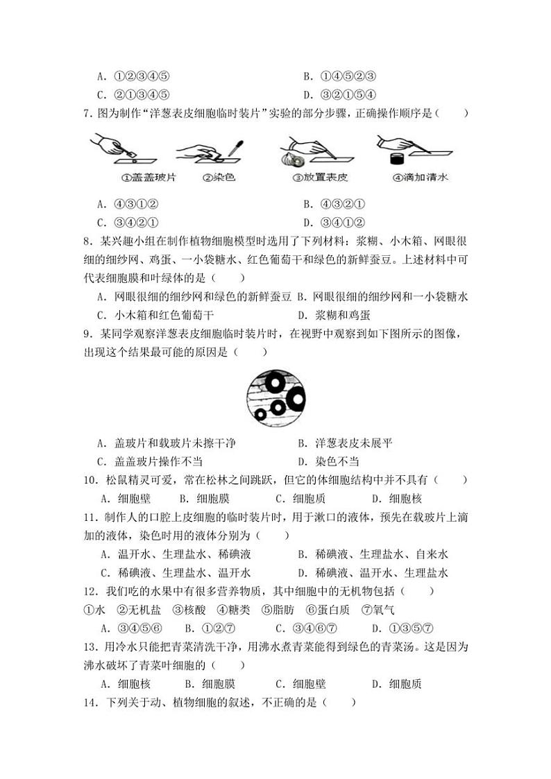 湖南省益阳市赫山区箴言龙光桥学校2024~2025学年七年级(上)期中生物试卷(含答案)第2页