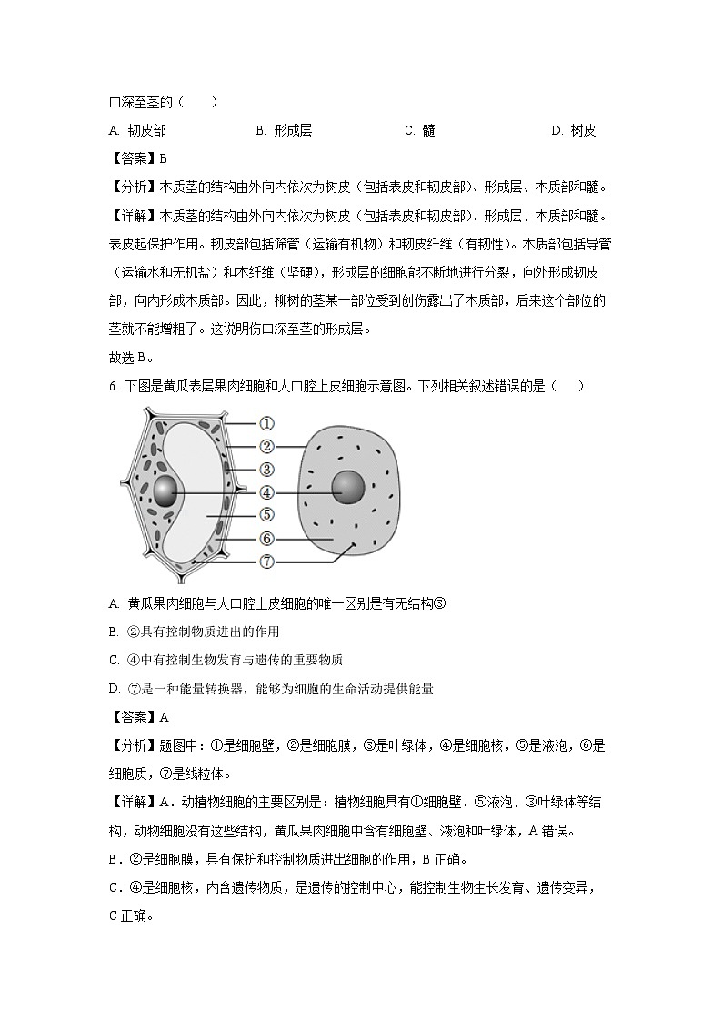 江苏省盐城市滨海县滨淮初中集团2023-2024学年七年级上学期12月月考生物试卷(解析版)03
