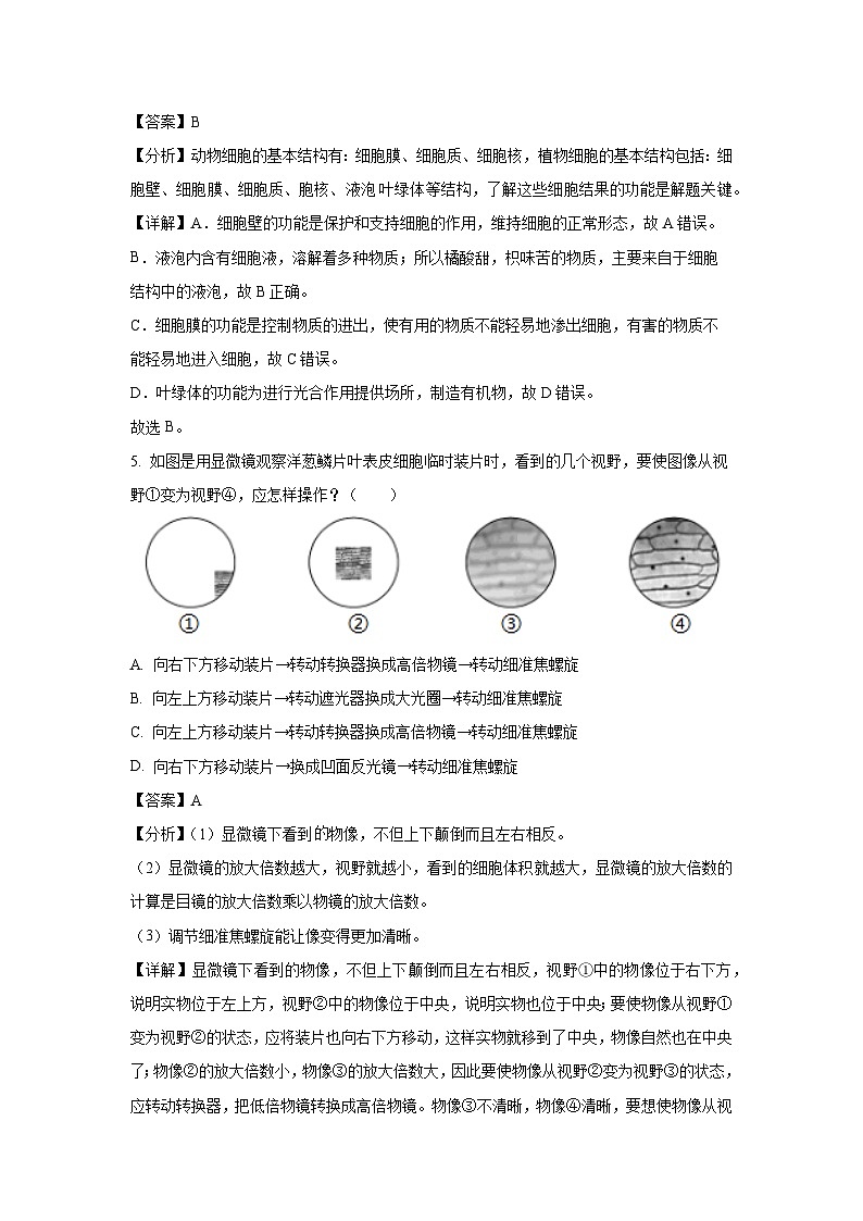 江蘇省鹽城市東臺(tái)市第五聯(lián)盟2023-2024學(xué)年七年級(jí)上學(xué)期12月月考生物試卷（解析版）第3頁(yè)