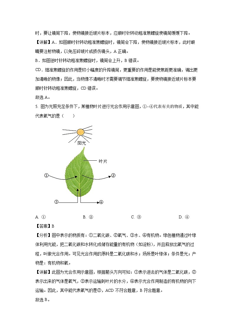 江苏省徐州市邳州市2023-2024学年七年级上学期期中生物试卷(解析版)第3页
