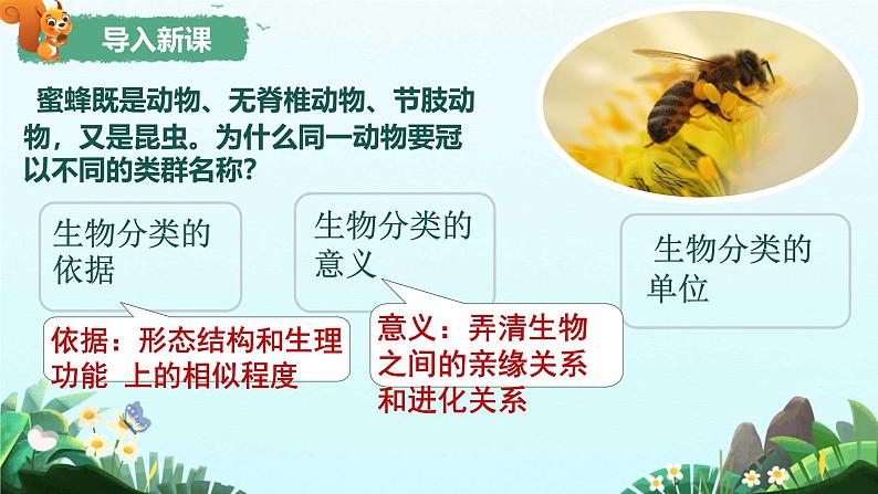 初中 生物 人教版(2024) 七年级上册 第二单元 第四章第二节 从种到界 课件第3页