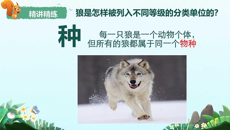 初中 生物 人教版(2024) 七年级上册 第二单元 第四章第二节 从种到界 课件第6页