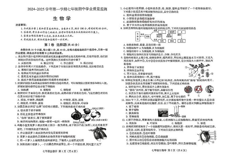 山西省运城市实验中学2024-2025学年七年级上学期期中测试生物试卷01