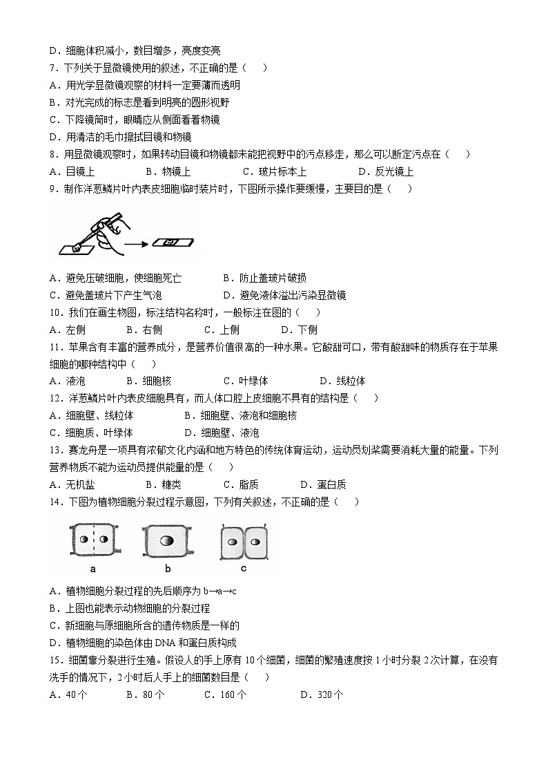 云南省昭通市绥江县2024-2025学年七年级上学期期中生物学试题02