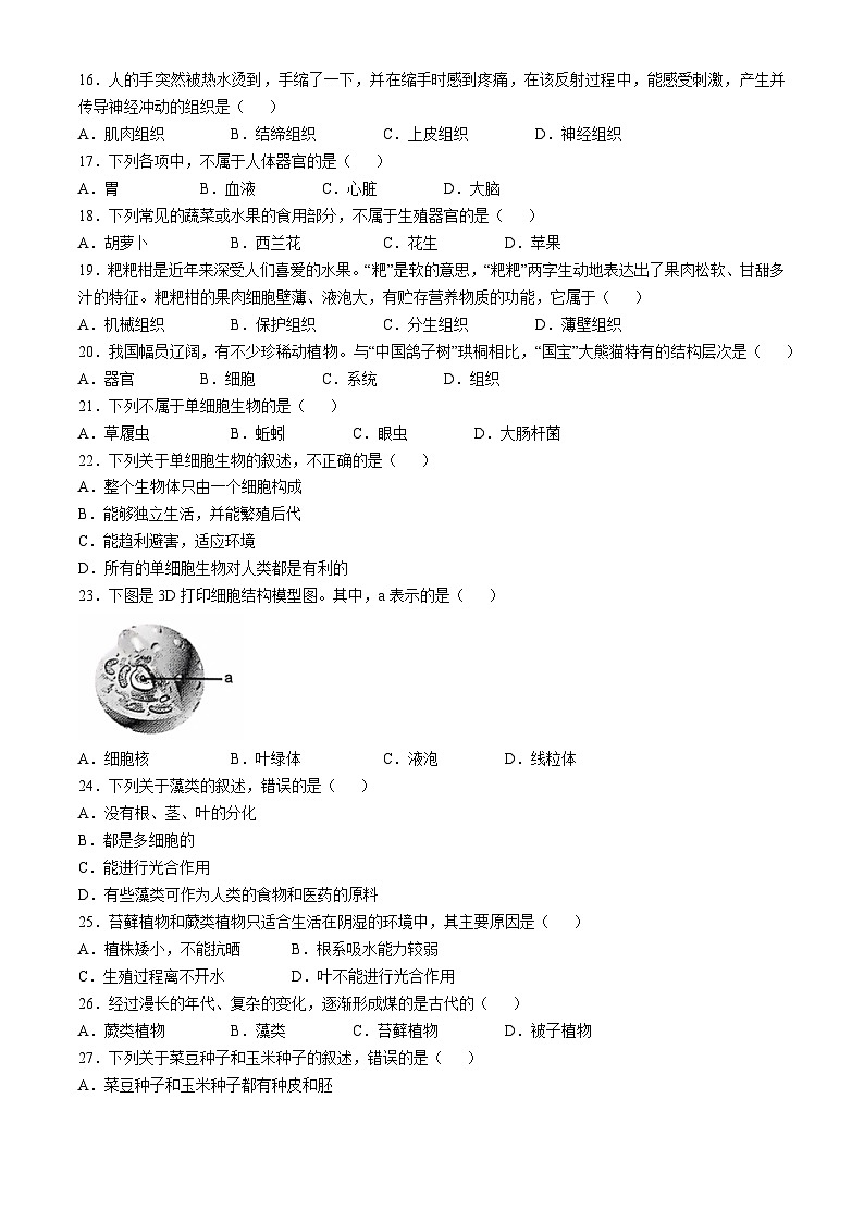 云南省昭通市绥江县2024-2025学年七年级上学期期中生物学试题03