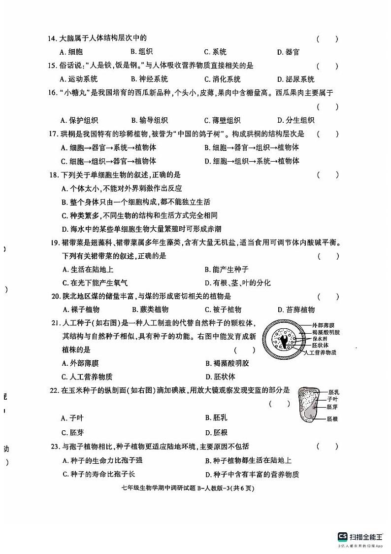 陕西省榆林市第十中学2024-2025学年七年级上学期11月期中生物试题第2页