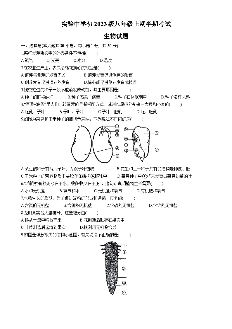 重庆市长寿实验中学校2024-2025学年八年级上学期期中生物学试题(无答案)01