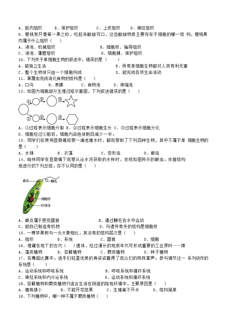 江苏省盐城市亭湖区盐城景山中学2024-2025学年七年级上学期期中生物试题02