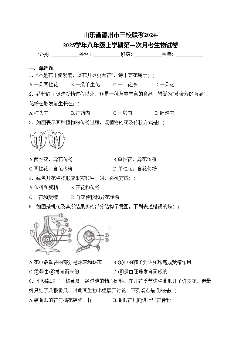 山东省德州市三校联考2024-2025学年八年级上学期第一次月考生物试卷(含答案)第1页