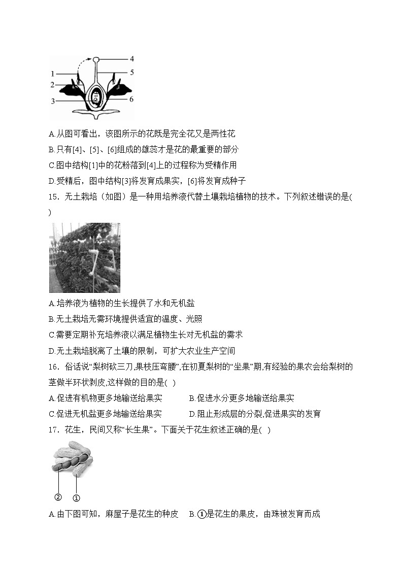 山东省德州市三校联考2024-2025学年八年级上学期第一次月考生物试卷(含答案)第3页