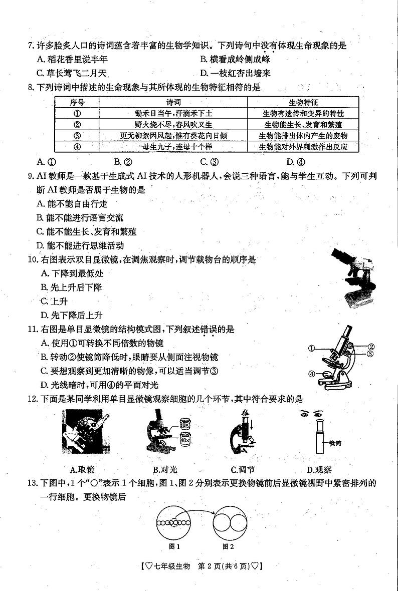 陕西省西安市第九十九中学2024-2025学年七年级上学期10月份考试生物试卷第2页
