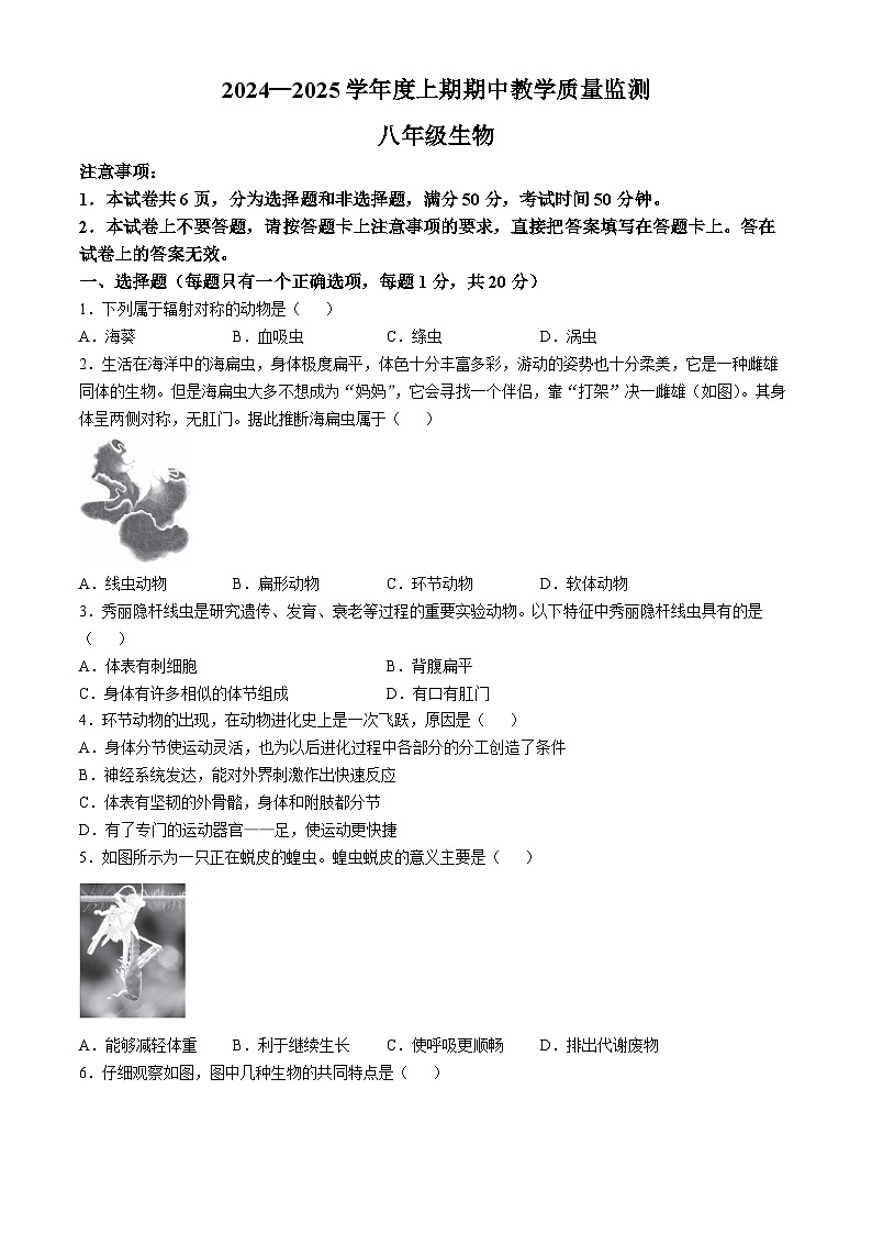 河南省信阳市潢川县2024-2025学年八年级上学期期中生物学试题第1页