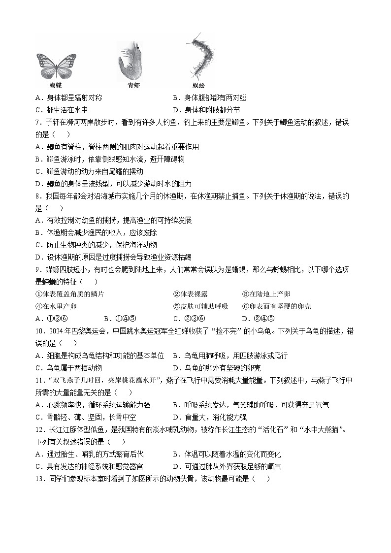 河南省信阳市潢川县2024-2025学年八年级上学期期中生物学试题第2页