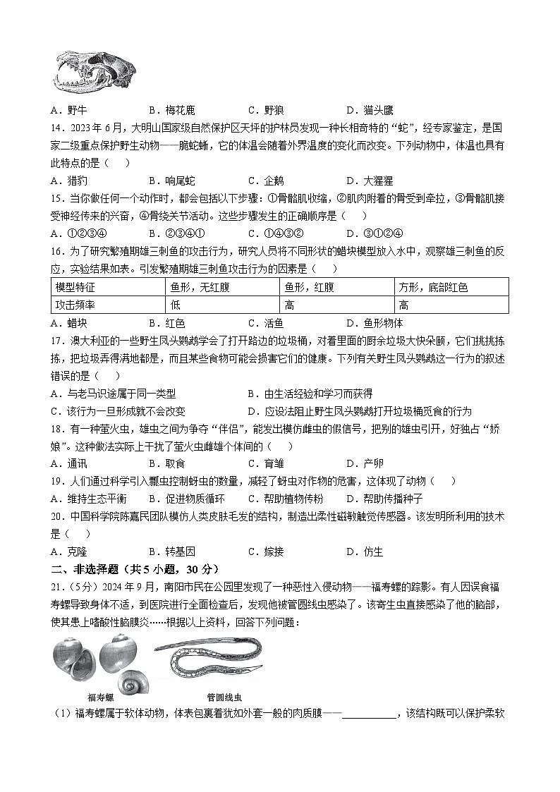 河南省信阳市潢川县2024-2025学年八年级上学期期中生物学试题第3页