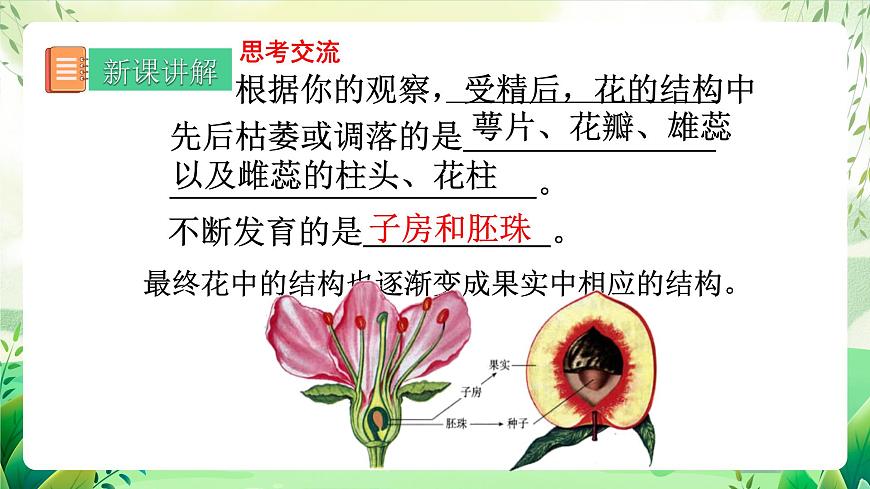 人教版生物八下7.1.1 《植物的生殖》 課件第8頁