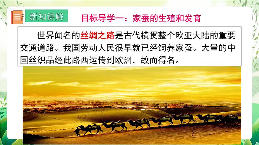 人教版生物八下  7.1.2《 昆蟲的生殖和發(fā)育》 課件第6頁